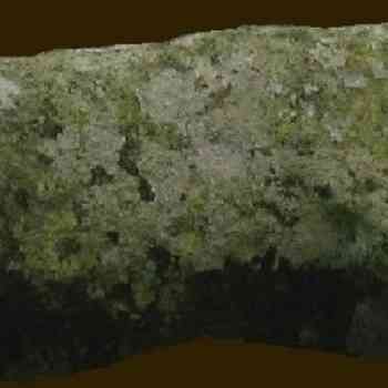 Click para ampliar. Pulsa en el nombre para ver la ficha. Verraco Vicedo modificado digitalmente